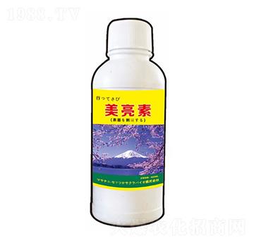 �ձ�������-���A��