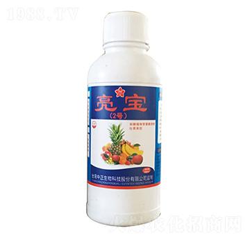 ����2̖(h��o)-���A��