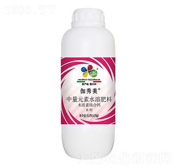 ľ�|(zh��)�ؽj(lu��)���}-������-��T����