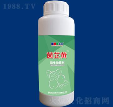 ΢�������-�����S-�{(l��n)��r(n��ng)�I(y��)