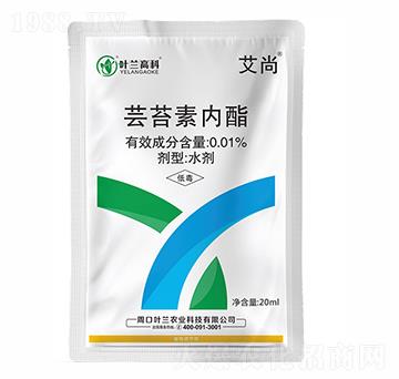 �|̦�؃�(n��i)��-����-�~�m�߿�