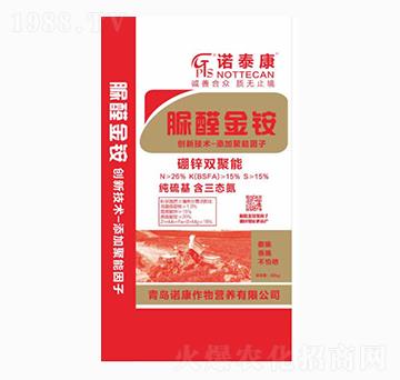 ��ȩ���@-�Z̩��-���u�Z��