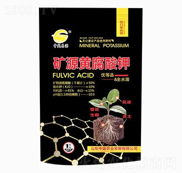 �VԴ�S�����-��ʢ�r�I(y��)