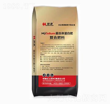 ���z�w���׷�-��(f��)�Ϸ���-���󻯹�