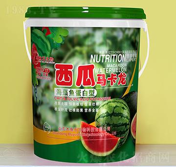 �����~������-�����R����-ľ�~ʯ����