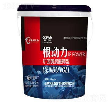 �VԴ�S�������-������-ľ�~ʯ����