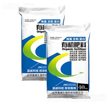 �ЙC(j��)����-�߿���