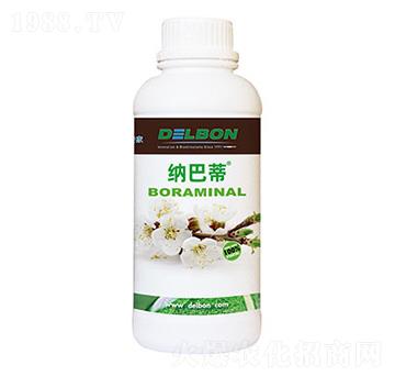 ���-�{�͵�-�f��