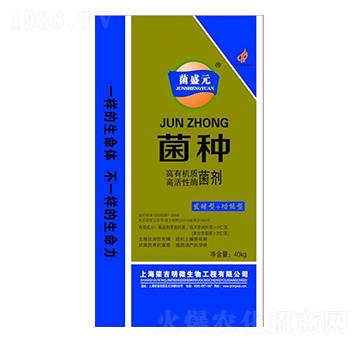 ��ʢԪ���N-�s����