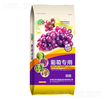 ���ь����������-ϣ�ǷʘI(y��)