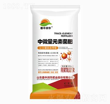 ��΢��Ԫ�ؾ���-���Н��A