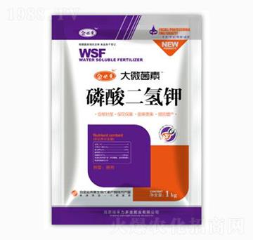 ��������-��΢����-��؁�(l��i)