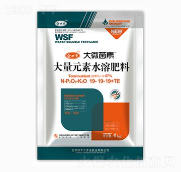 ƽ���ʹ���Ԫ��ˮ�ܷ�19-19-19+TE-��΢����-��؁�(l��i)