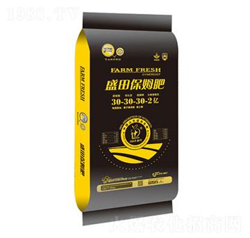 ʢ�ﱣķ��30-30-30-2�|-ʢ������