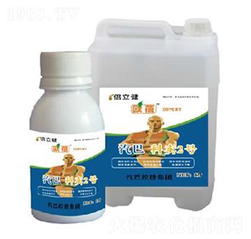 ���u2̖(h��o)-������-�����r(n��ng)�I(y��)