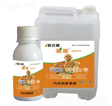 ���u1̖(h��o)-������-�����r(n��ng)�I(y��)