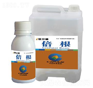 ����-������-�����r�I(y��)