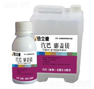 ���w�V-������-�����r(n��ng)�I(y��)