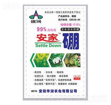 17%������-�A���r��