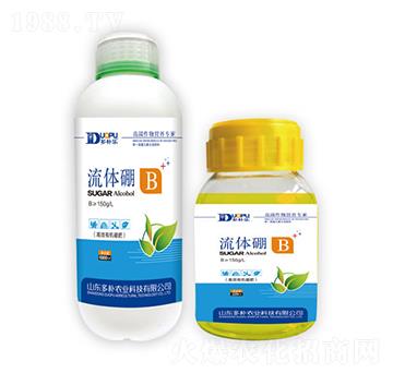 ���w��-�����Ƽ�