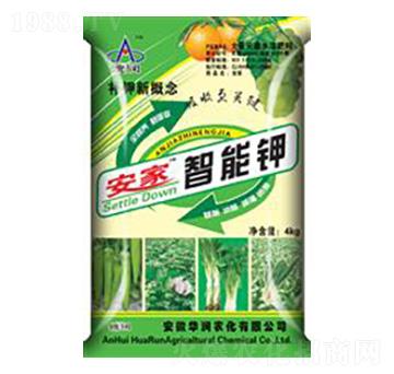 ���������-�A��(r��n)�r(n��ng)��