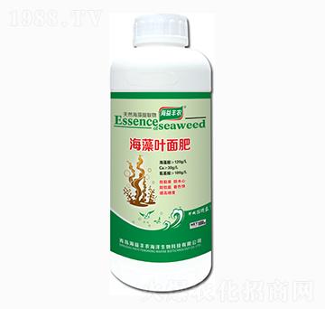 �����~���-�����S�r(n��ng)