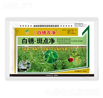 ���P�����c(di��n)��-���P�ك�-��˲