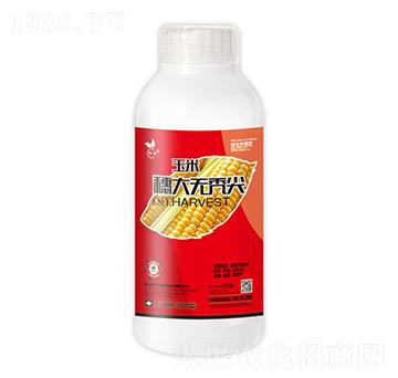 �������o(w��)�d��-��˲