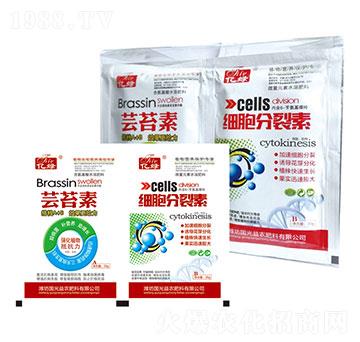 �|̦��+��(x��)��������-��(gu��)