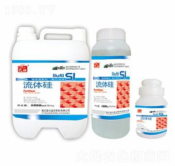 ���w��-��(gu��)�����r(n��ng)