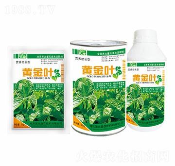 �I(y��ng)�B(y��ng)���L(zh��ng)��-�S���~-��(gu��)