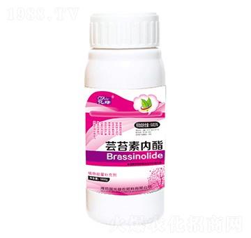 �|̦�؃�(n��i)��-��(gu��)�����r(n��ng)