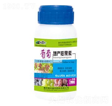 �������a(ch��n)�����-��(gu��)����