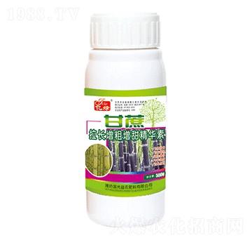 �������L(zh��ng)���������A��