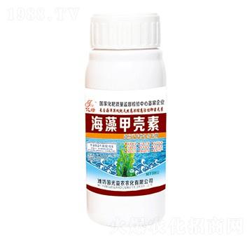 ����ך���-��(gu��)�����r(n��ng)