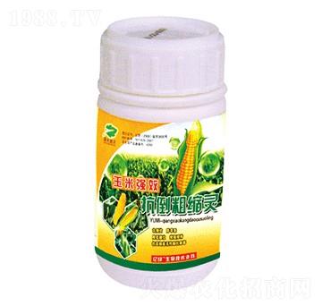 ���׿����ֿs�`-��(gu��)����