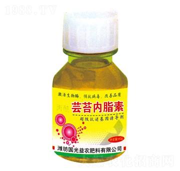 �|̦��(n��i)֬��-��(gu��)�����r(n��ng)