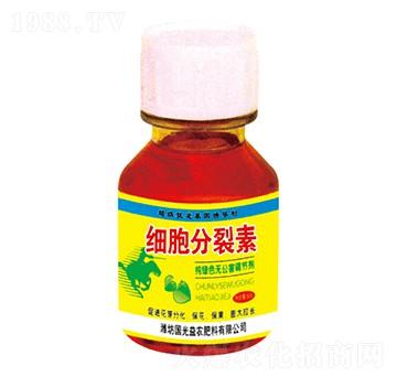 60g��(x��)��������-��(gu��)��