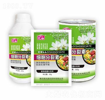 ��(x��)�������ؽM��-��(gu��)����