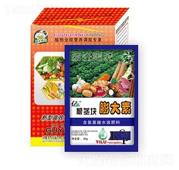 ���o�K�����-��(gu��)�����r(n��ng)