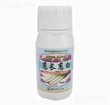 �[�L(zh��ng)�[��-����ʘI(y��)