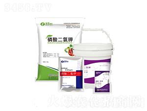 ��������ϵ��-�S��(l��)�ʘI(y��)