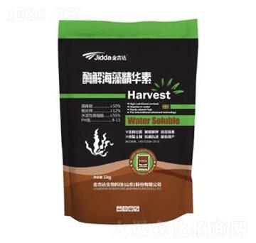 ø�⺣�徫�A��-���_