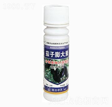 茄子膨大素-中天肥業(yè)