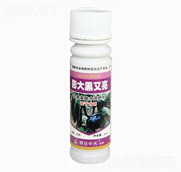 ������������-����ʘI(y��)