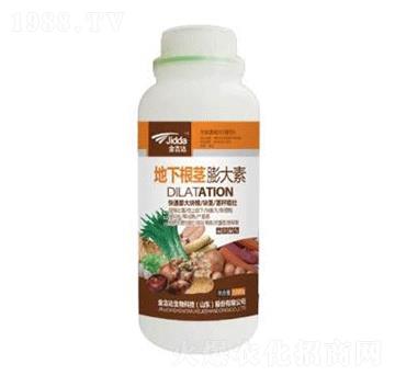 ���¸��o�����-���_(d��)