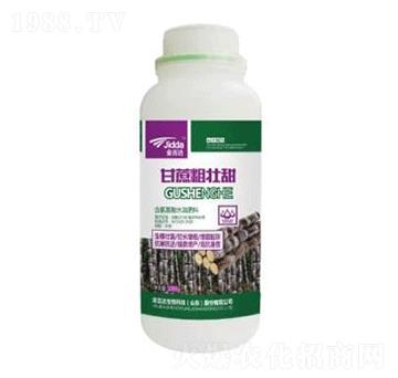 ����։���-���_(d��)