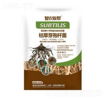 1000g�ݲ�ѿ�ߗU��-���_