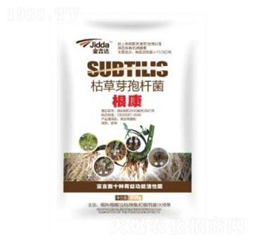 枯草芽孢桿菌-根康-金吉達