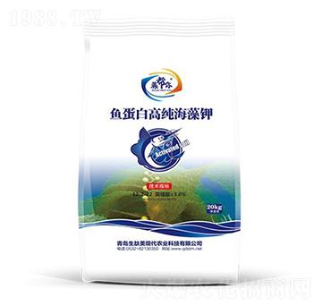 �~���׸߼������-�����-������